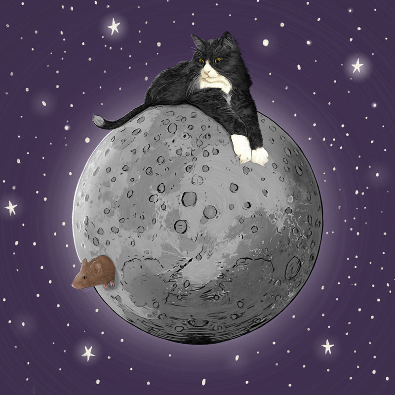 The Cat on the Moon